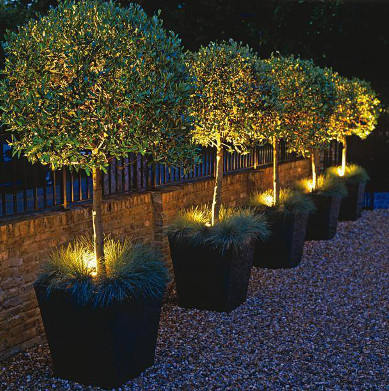 Aplinkos apšvietimas